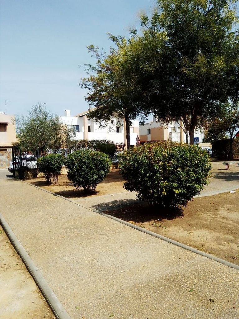 TRABAJANDO EN EL PLAN MUNICIPAL DE ADAPTACIÓN AL CAMBIO CLIMÁTICO