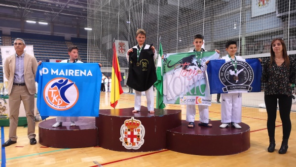 Campeonato de andalucía Taekwondo 2019 (3)