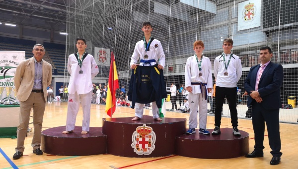 Campeonato de andalucía Taekwondo 2019 (4)