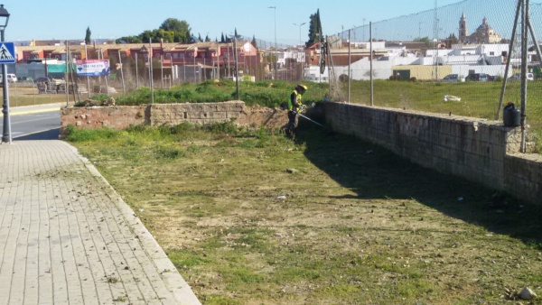MALAS HIERBAS (1)