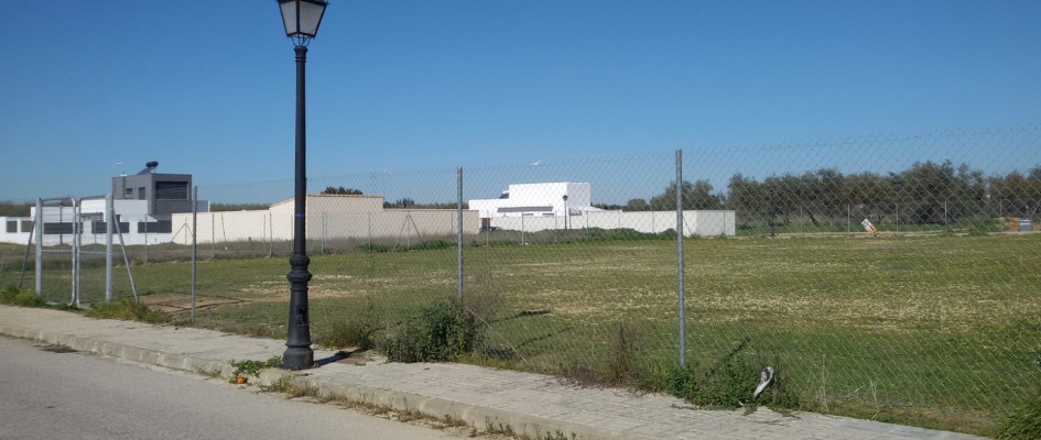 NUEVA ZONA PERROS (1)