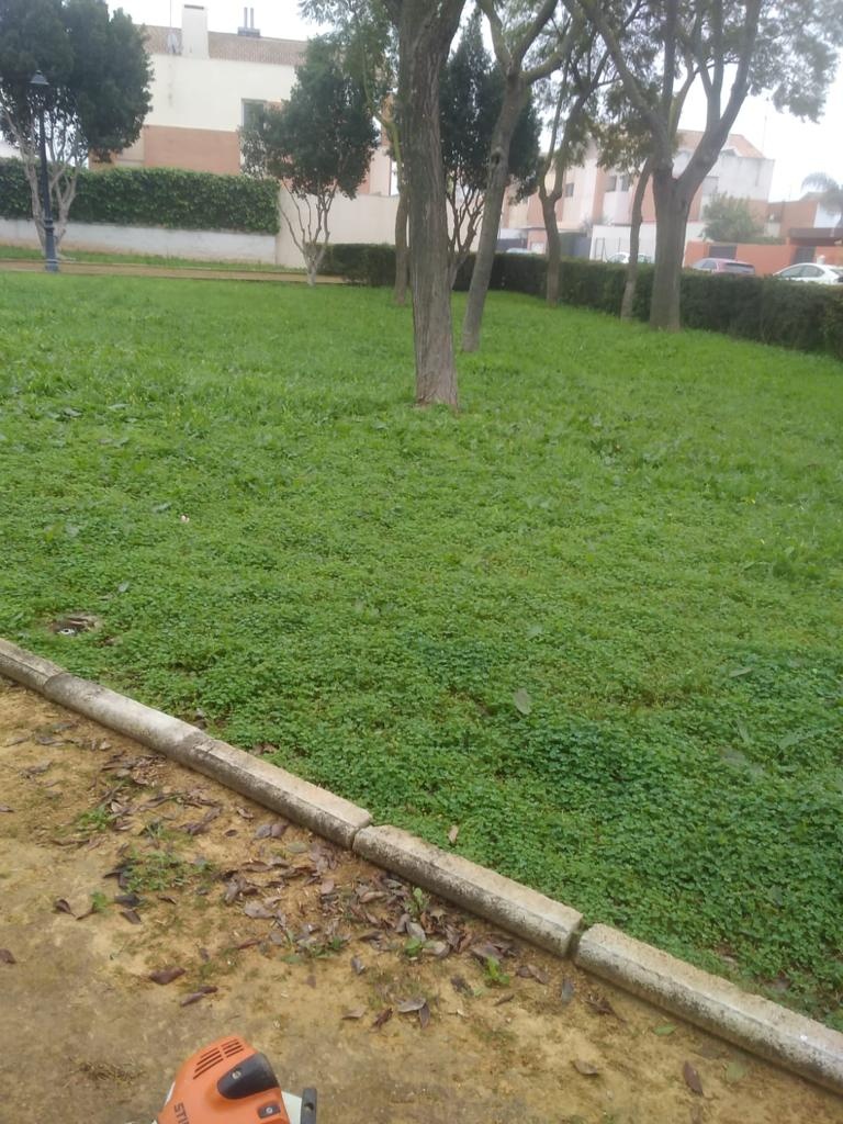 acondicionamiento de nuestras plazas