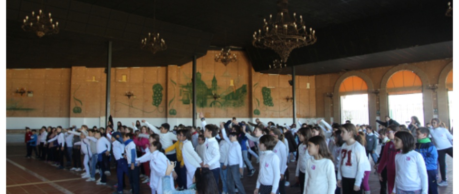caseta 25n (5)