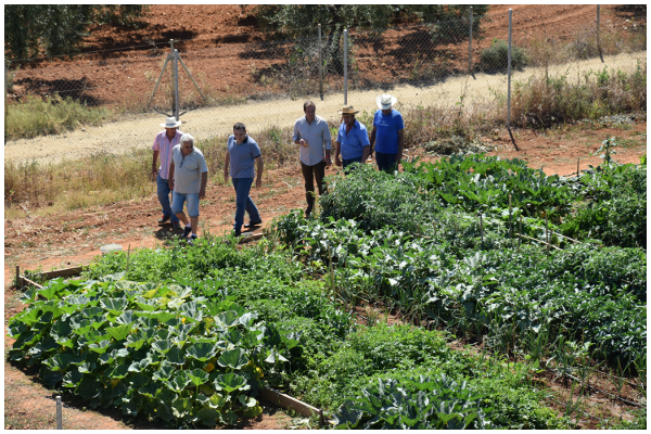 visita joaquin huertos 1