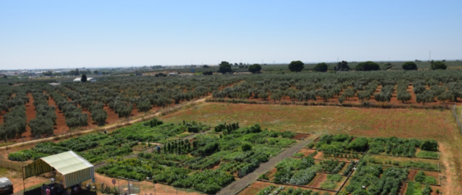 visita joaquin huertos 3