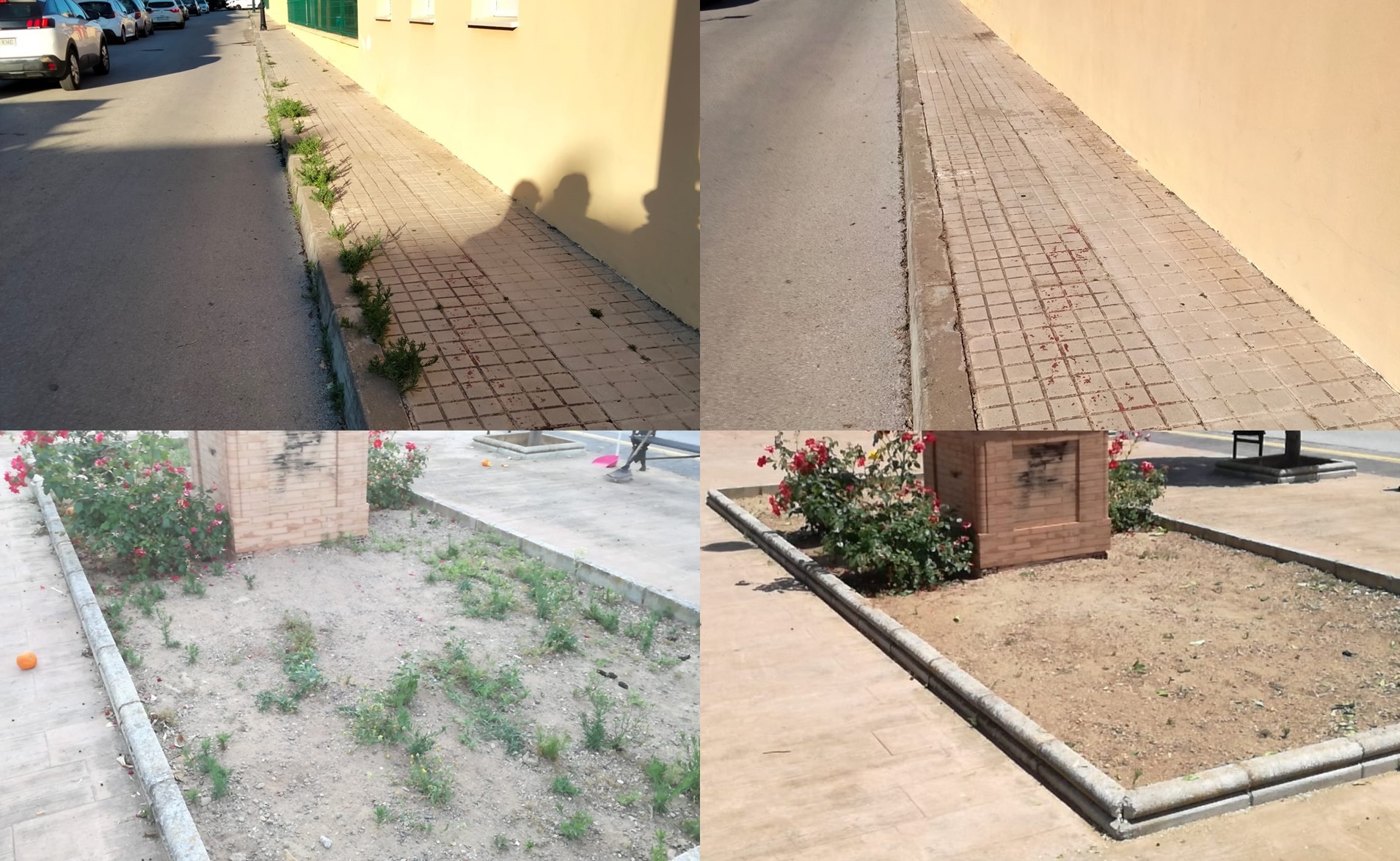 AVANZAMOS EN EL MANTENIMIENTO DE ZONAS VERDES web