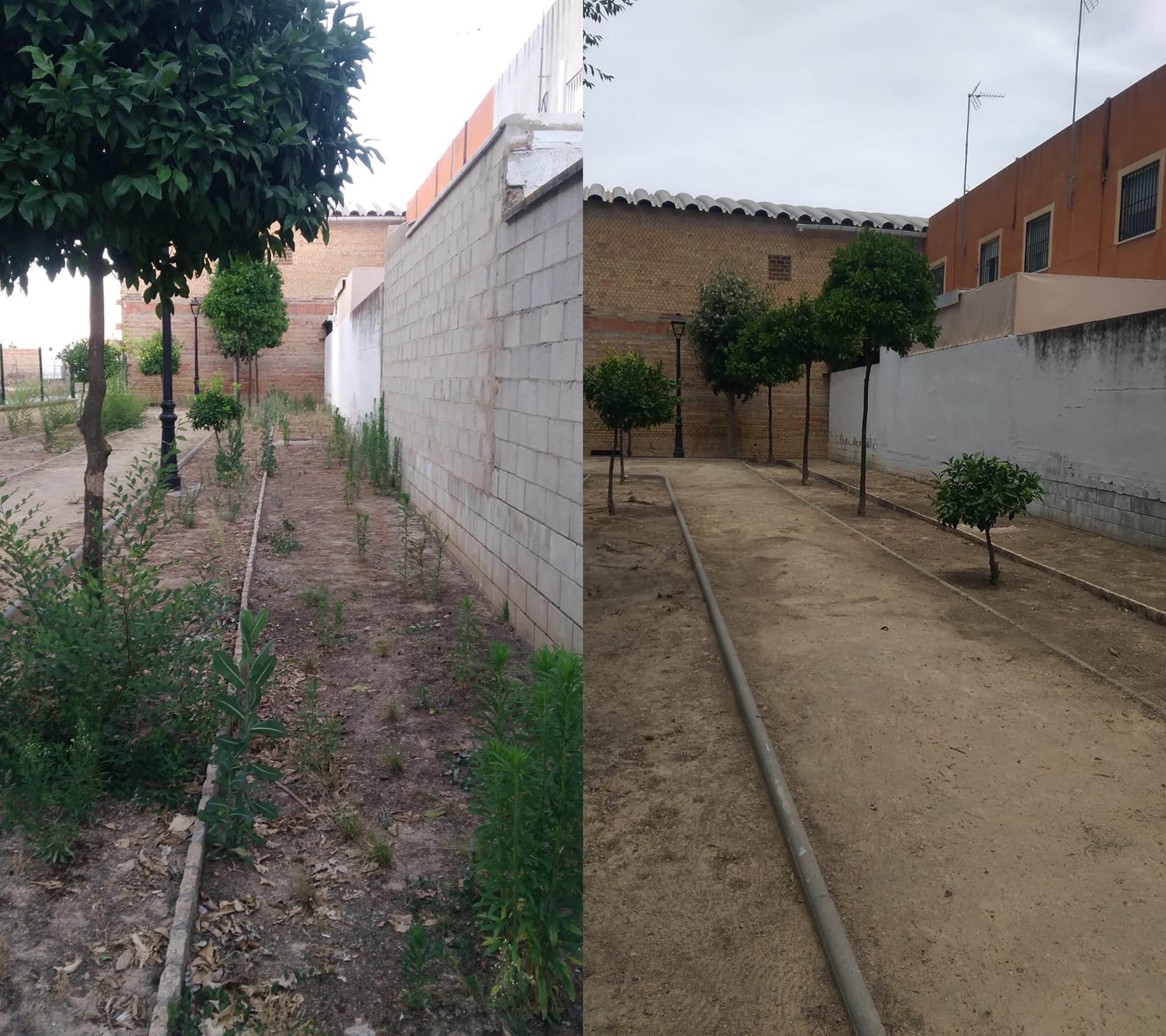 EL MANTENIMIENTO DE ZONAS VERDES SIGUE AVANZANDO