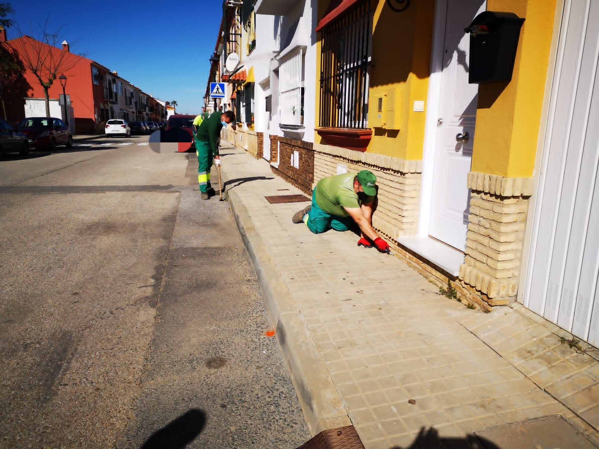 ELIMINACIÓN DE MALAS HIERBAS