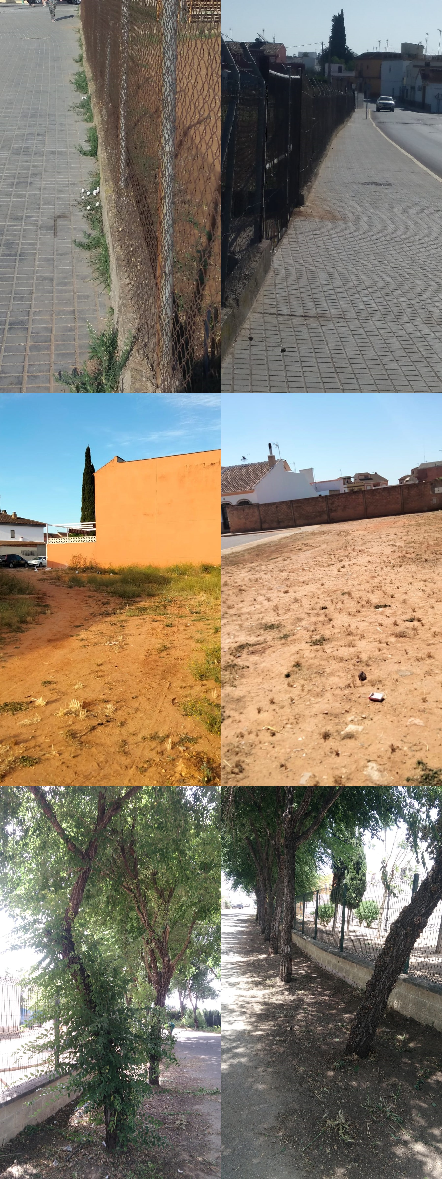 MANTENIMIENTO DE PARQUES Y ZONAS VERDES