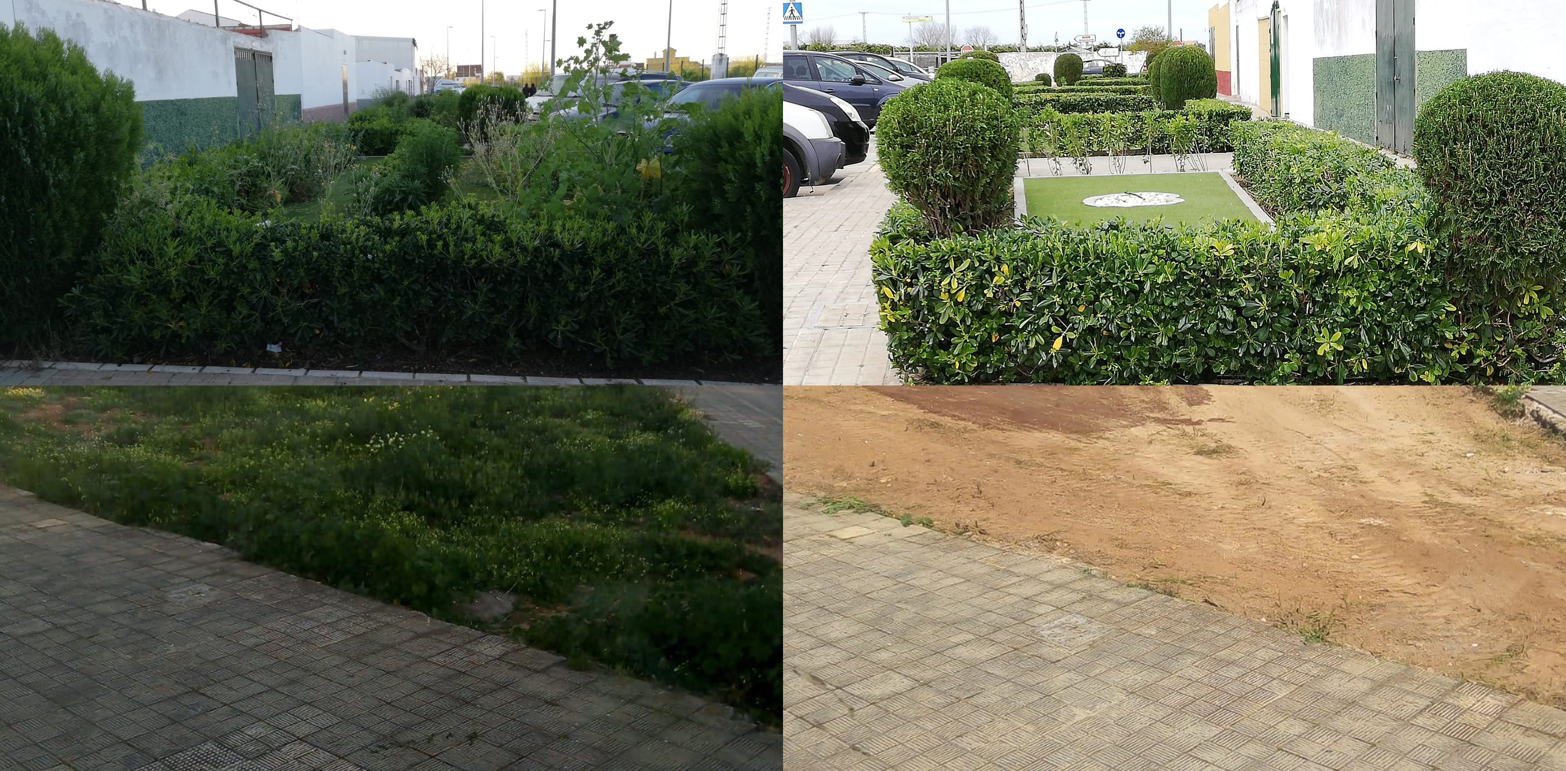 MANTENIMIENTO Y LIMPIEZA DE ZONAS VERDES web