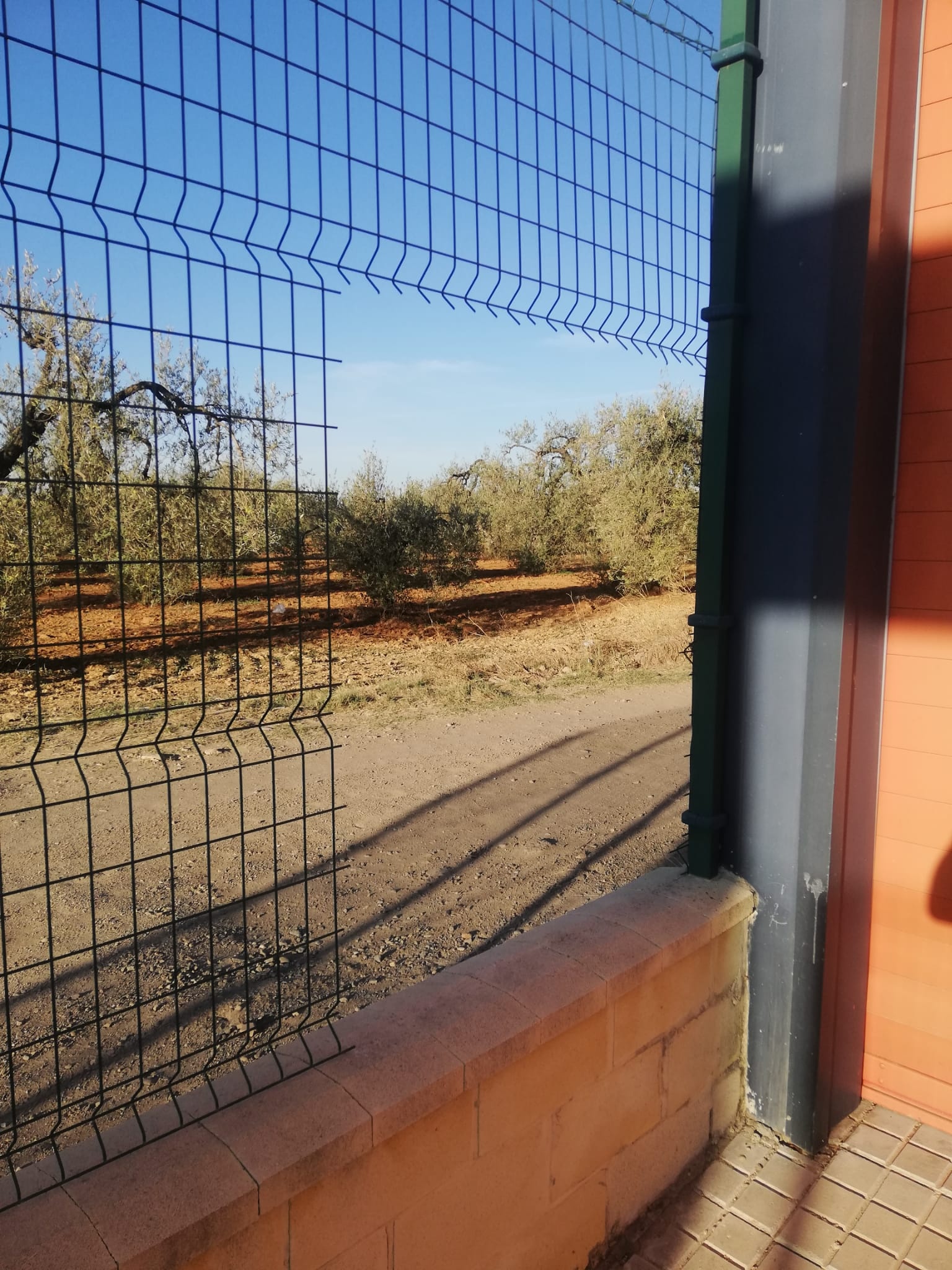 MANTENIMIENTO EN LA VÍA PÚBLICA 3