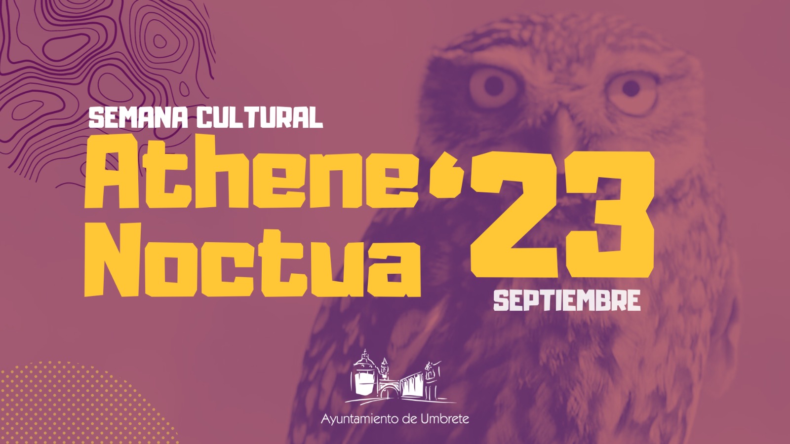 WhatsApp Image 2023-09-15 at 11.50.26