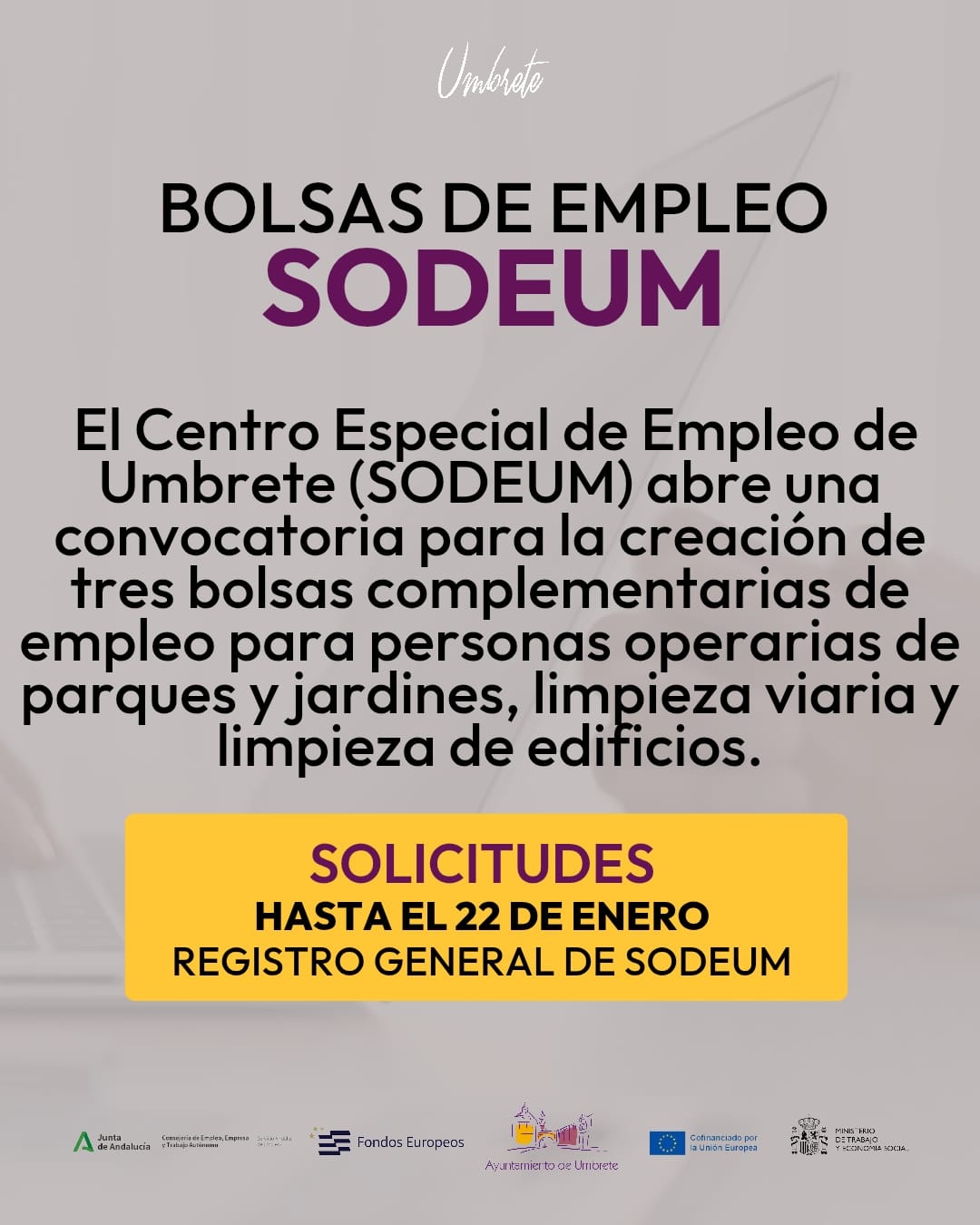 WhatsApp Image 2025-01-13 at 12.24.02