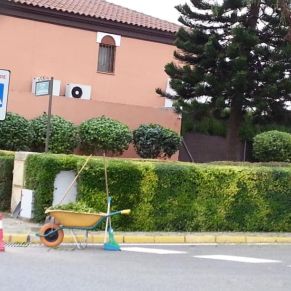 120304570_1669328926553563_7781392518818579210_n