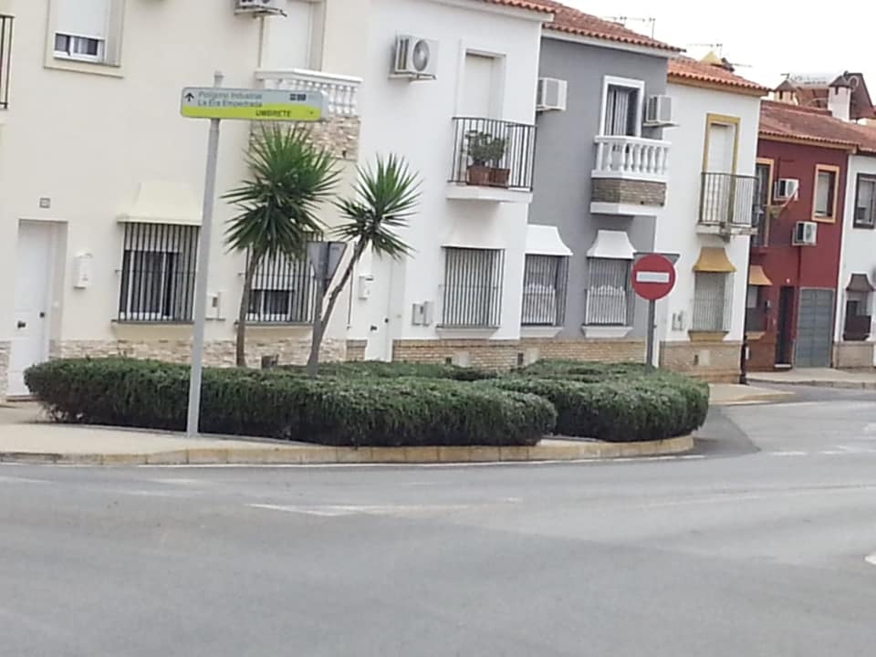 120315514_1669328899886899_5834672340275384585_n