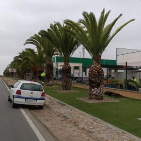 120541301_1672882209531568_6235198590343359405_n