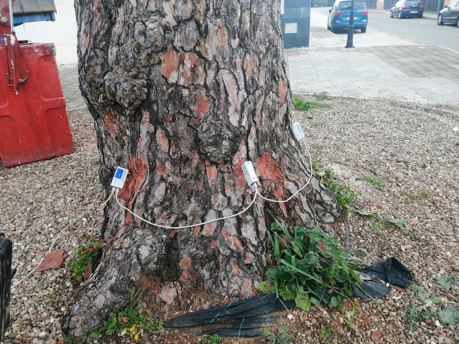 3d5e1f37-9767-4a40-affd-a0747df1e200