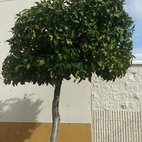 48dfa8b2-7960-4e7e-b043-61cf2258d049