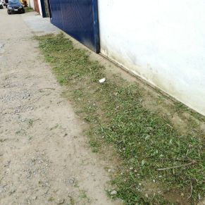 4f10ae1f-958d-4a7f-a5d0-630056c41bc9