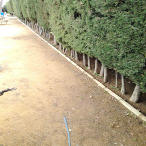 5b3cd8a1-926d-4088-9150-f92e171da82f