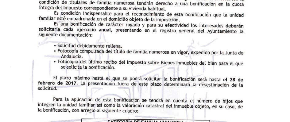 BANDO IBI FAMILIA NUMERSOSA 2017