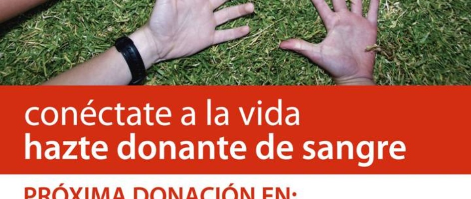 CARTEL OTOÑO 2011