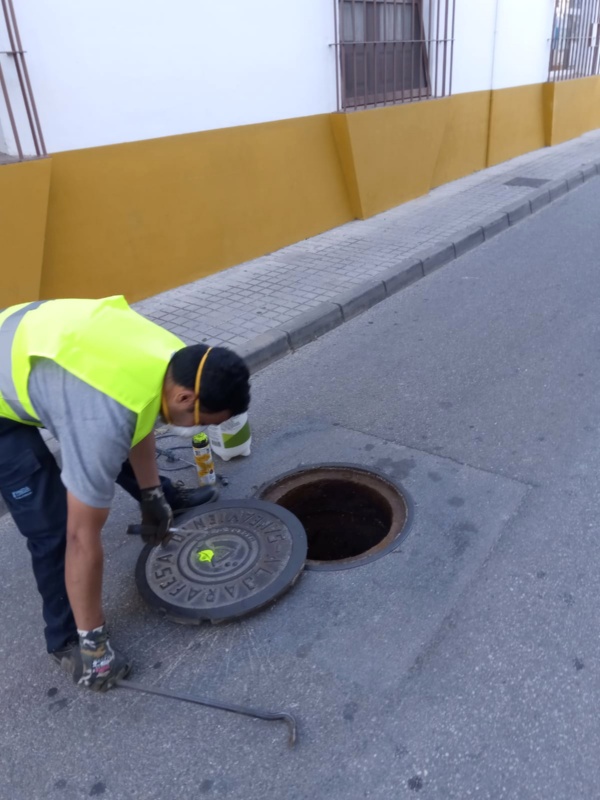 Campaña desinsectacion y desratización (1) 2019