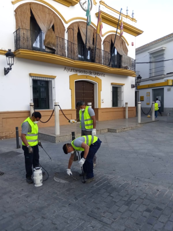 Campaña desinsectacion y desratización (3) 2019