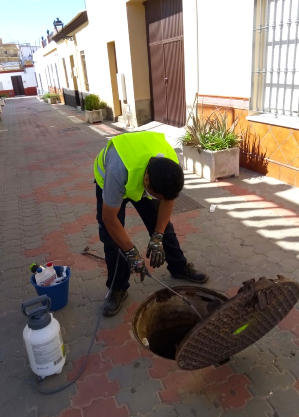 Campaña desinsectacion y desratización (4) 2019