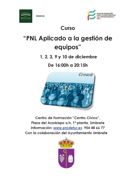 Cartel PNL Aplicado a la gestión de equipos 2015
