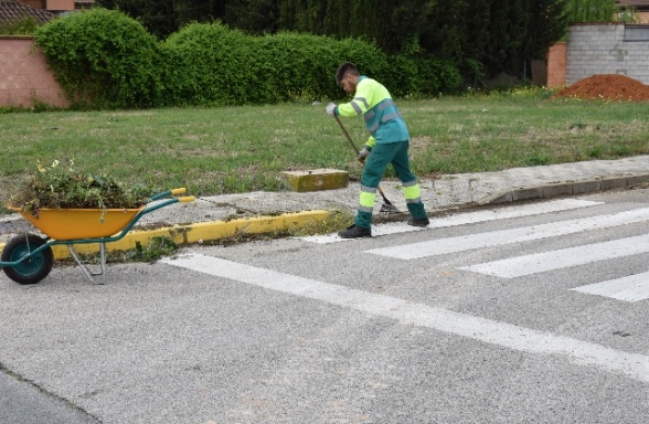 Eliminación malas hierbas abril 2019 (1)