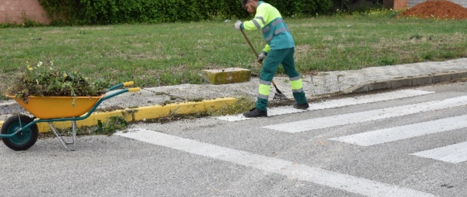 Eliminación malas hierbas abril 2019 (1)