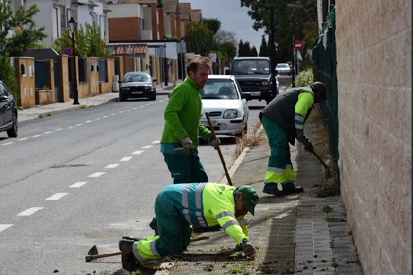 Eliminación malas hierbas abril 2019 (2)