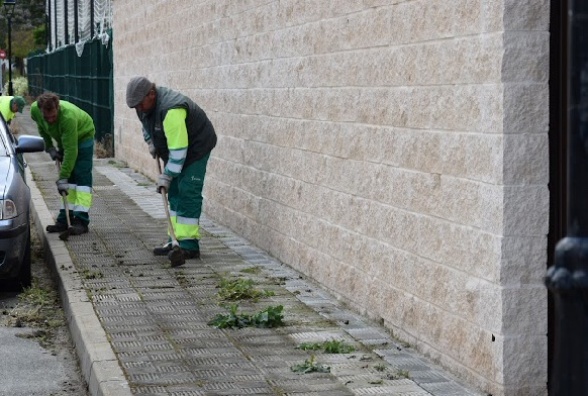 Eliminación malas hierbas abril 2019 (3)