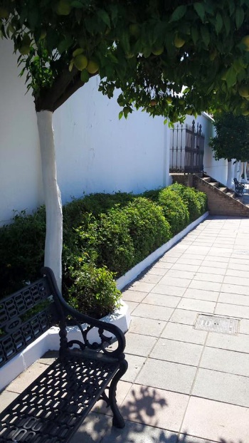 Espacios verdes cementerio II