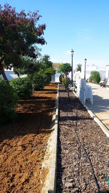 Espacios verdes cementerio III