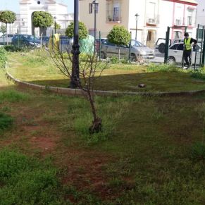 LIMPIEZA  PARQUE CALLE BODEGA 1