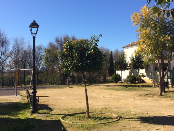 MANTENIMIENTO ENERO 2019 (18)