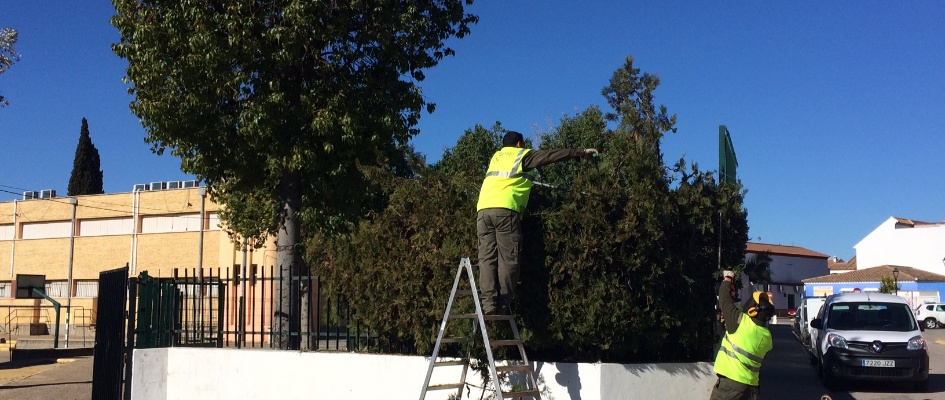 MANTENIMIENTO ENERO 2019 (20)