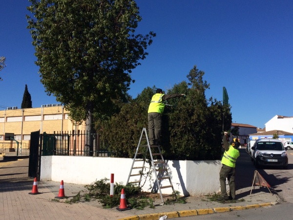 MANTENIMIENTO ENERO 2019 (20)