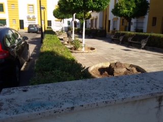 Mantenimiento parques junio 2017 (15)