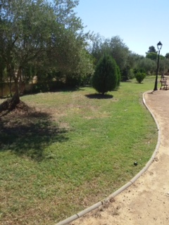 Mantenimiento parques junio 2017 (6)