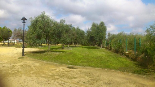 Mantenimiento zonas verdes V