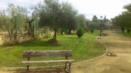 Mantenimiento zonas verdes VI