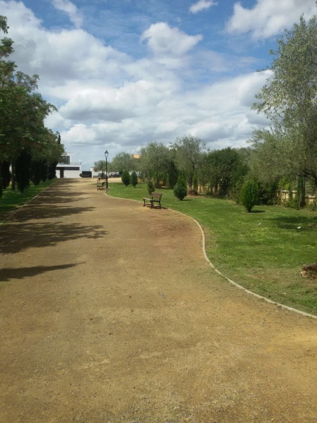 Mejora zonas verdes 001