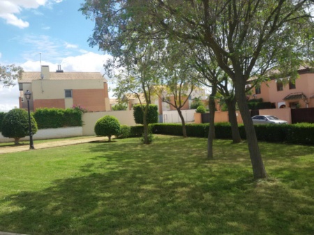 Mejora zonas verdes 003