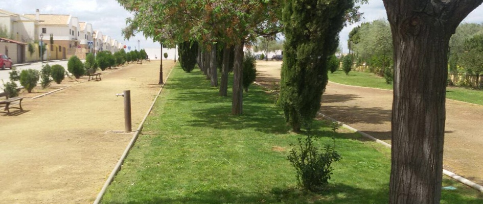 Mejora zonas verdes 006