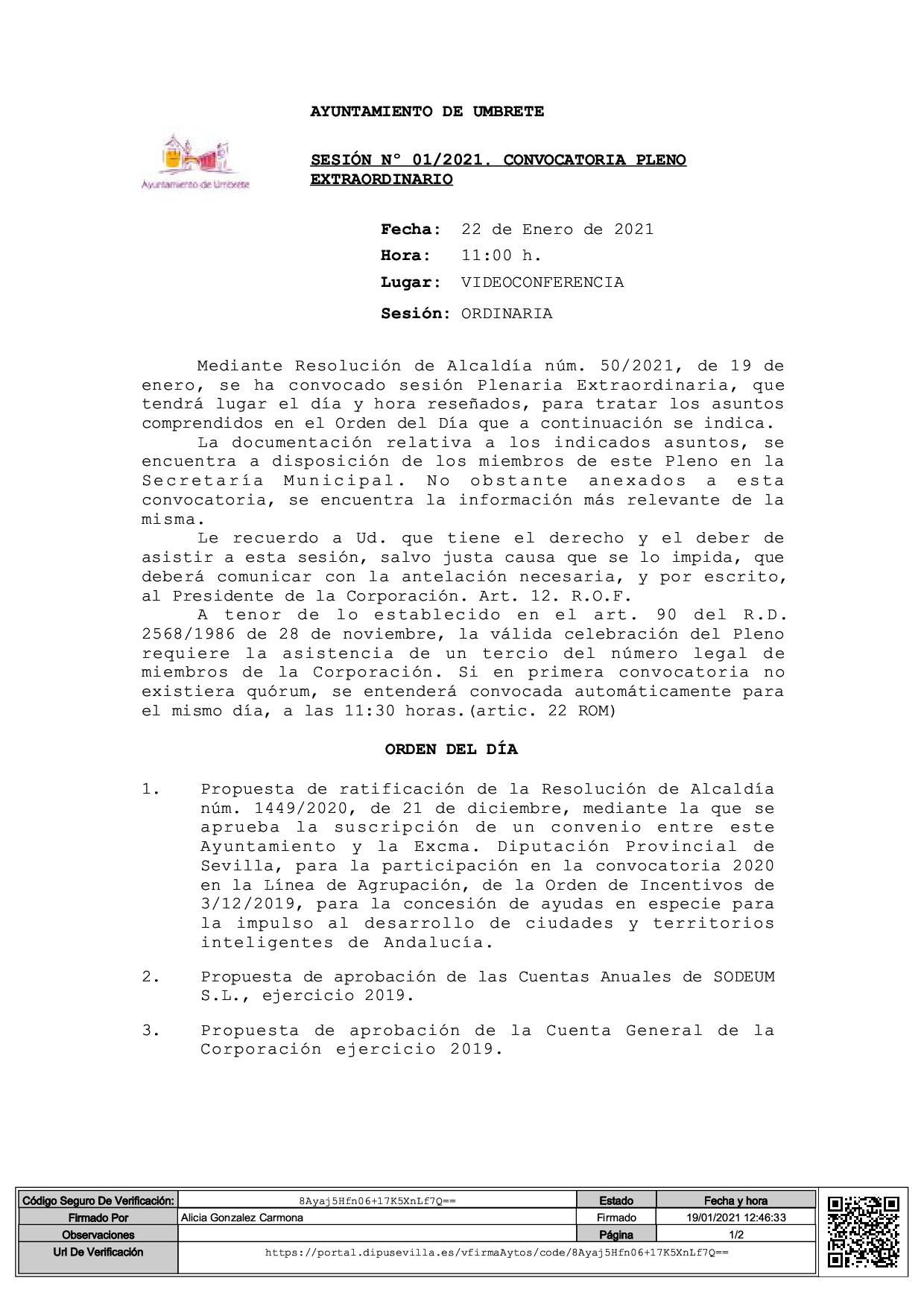 PLENO EXTRAORDINARIO 22 DE ENERO-1