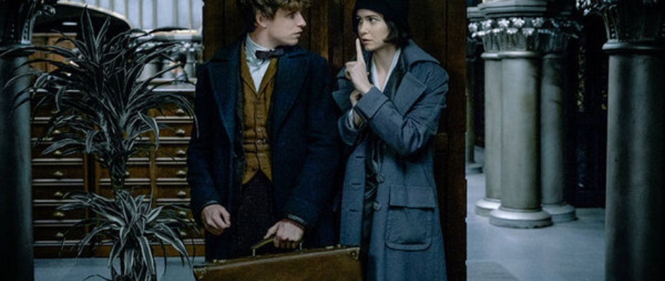 animales fantásticos y donde encontrarlos