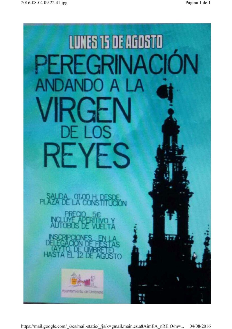 cartel peregrinación virgen de los reyes 2016